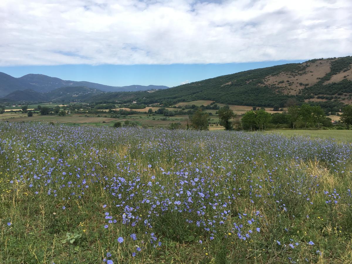 Tenuta Due Laghi Rivodutri Экстерьер фото